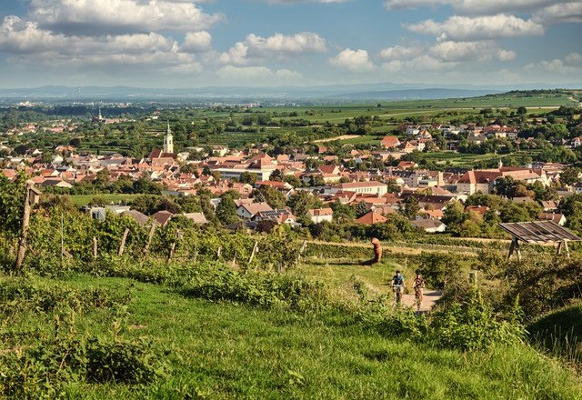 Regional.Bio. & Grüner Veltliner mit Sinn.
WinEcycle Tours hat das Ziel, die Wertschöpfung in der Region zu steigern. Wir bieten kleinen Produzenten eine Bühne und schaffen Bewusstsein für Regionalität und Nachhaltigkeit., © WinEcycle Tours