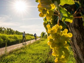 Radfahren im Kamptal, © POV Robert Herbst