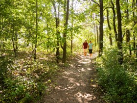 Wald- und Weinweg, © POV