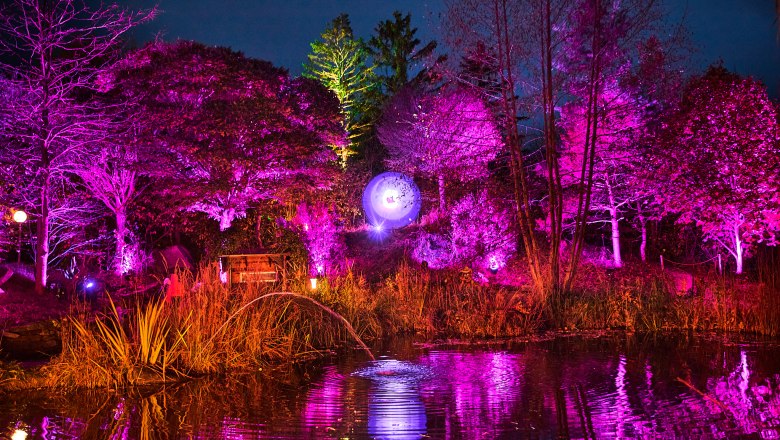 Illumina der Gärten bei Kittenbergers Adventzauber, © Andreas Hofer Photography