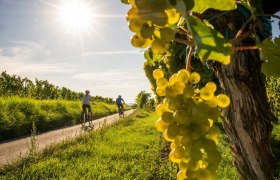 Radfahren im Kamptal, © POV Robert Herbst