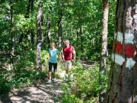 Wanderweg zur Kamptalwarte am Heiligenstein, © POV