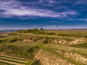 Wanderweg zur Aussichtswarte am Gobelsberg, © POV