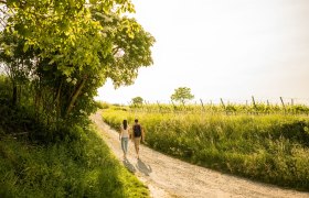 Vino-Birdie-Tour, © Waldviertel Tourismus