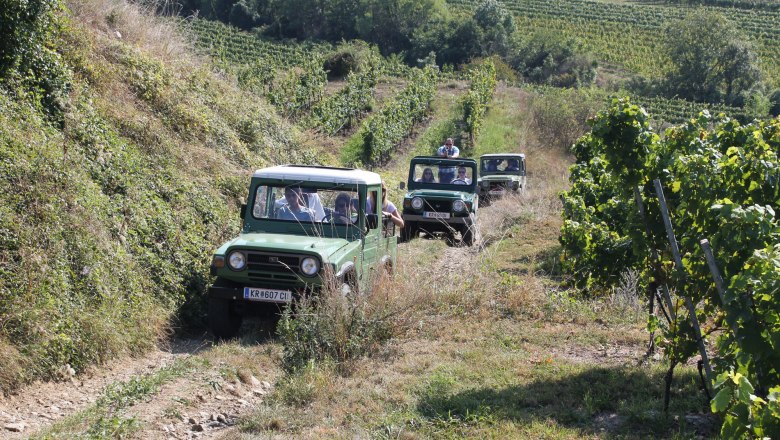 Trip mit dem Geländewagen, © Güni Tours