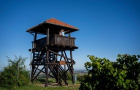 Wanderweg zur Aussichtswarte am Gobelsberg, © POV