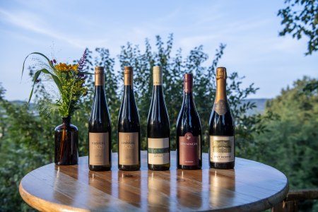 Langenloiser Weinchampions Herbst 2024, © POV Robert Herbst