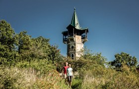 Rund um die Kamptalwarte am Heiligenstein, © POV Robert Herbst