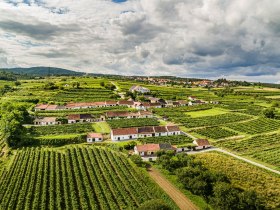 Wald- und Weinweg, © POV