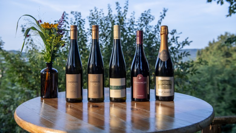 Langenloiser Weinchampions Herbst 2024, © POV Robert Herbst