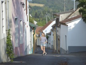 Kellergasse Schiltern, © POV, Robert Herbst