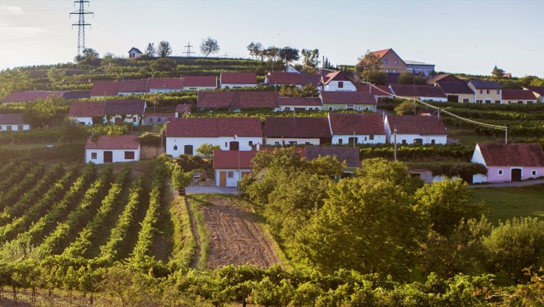 Ried Kellerberg, © Weingut am Berg