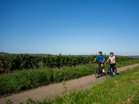 Radfahren im Kamptal, © POV Robert Herbst