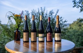 Langenloiser Weinchampions Herbst 2024, © POV Robert Herbst